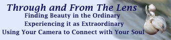 Through and From the Lens telecourse