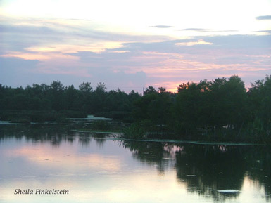 Green Cay Sunset using Curves filter
