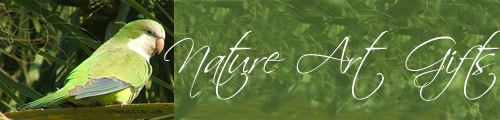 nature art gifts - parrot header