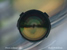 camera lens