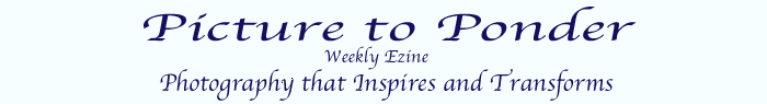 Picture to Ponder header .gif